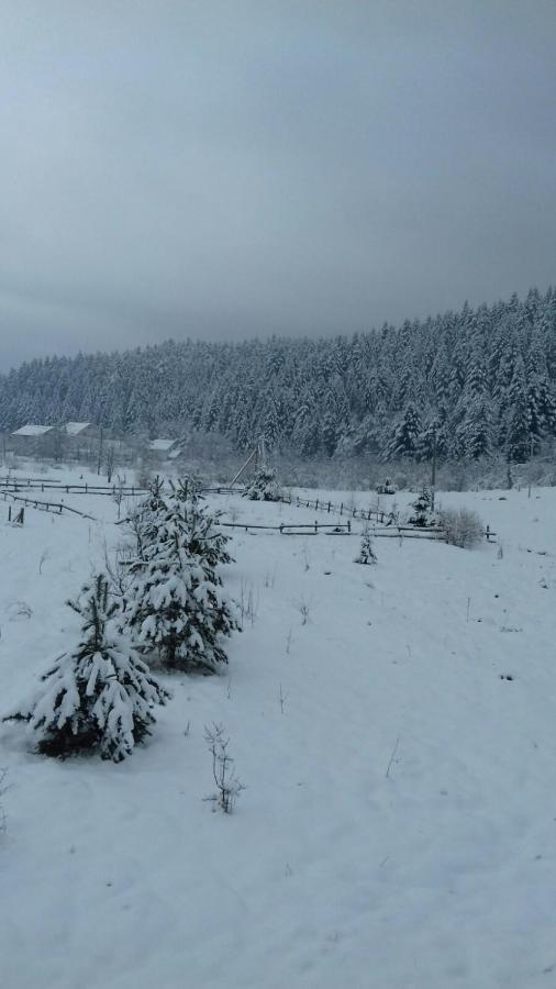 Котедж “Гуркало" Korchin Exterior foto